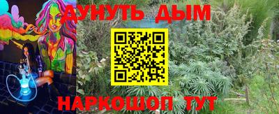 гашиш Кингисепп