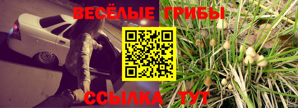 Галлюциногенные грибы прущие грибы Красногорск